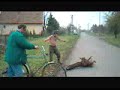 Lugoj 2 betivi
