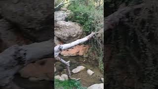 مسار وادي سلامه مسار وادي سلامه