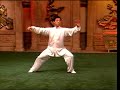 陳正雷大師(陳氏十九世太極拳第十一代傳人)