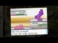 Pokemon Johto Intro