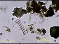 20091018動画82_enhanced.wmv
