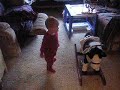 Boaz Wilde Peleg dances with poopy.