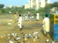 kabotar bazi in johar khi pak 2.3gp