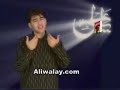 Mesum Abbas 2008 - Ya Maula Ali (AS) - free flv video @ vwatch.tv
