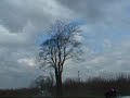 A drive and a chat around Inowroclaw