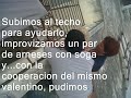 PERRO RESCATADO, DESPUÉS DE 4 MESES EN EL PATIO DE UNA CASA DESHABITADA