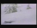 Kopaonik, Serbia-  IFMSA MM2002 (YuMSIC)