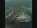River don backflip frontflip dive! River don backflip frontflip dive!