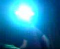 Steer Clear- getALIVE
