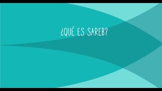 Un vídeo para explicar qué es Sareb. ¿Es un banco malo?