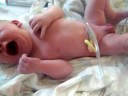 Nathaniel James Wack