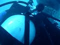 scuba diving at Key West (cayman wrack)