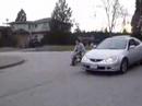 Rsx vs pocket bike!!