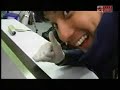 F1 rear wing tech