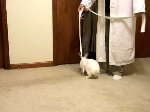how to unlock a door with a qtip