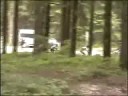 Alessandro Nadalin MTB 100 km dei Forti 2004 a Lavarone (TN)