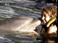 Nikki schwimmt mit Delphinen Nikki schwimmt mit Delphinen