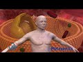 Medical Animation