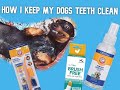 Arm And Hammer Banana Mint Dog Toothpaste