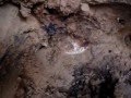 Treasure Hunters - Digging in VA III Greatest Hits - another metal detecting blast from the past