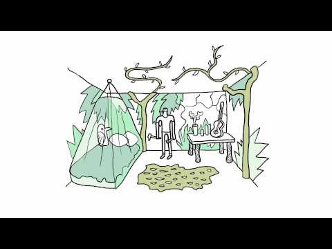 Image de prévisualisation YouTube
