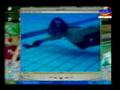 PUHC at NBN Sports Part 1