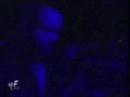 The Undertaker
