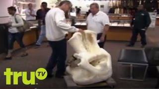 Elephant Skull Haggle
