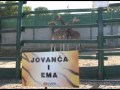 Зооврт Јованча и Ема - 09/10/2012