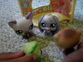 This is about these two lps fighting...