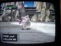 Orre Colosseum: VS Eldes