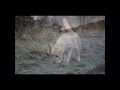 Illya 1.mpg