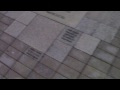 videos de fucked up memorial 2