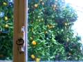 Snow in Antibes - Part Three - YouTube