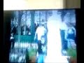 Afv, Dog licking inside of a kids mouth