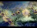 Systems Rights and Ceremonies.avi