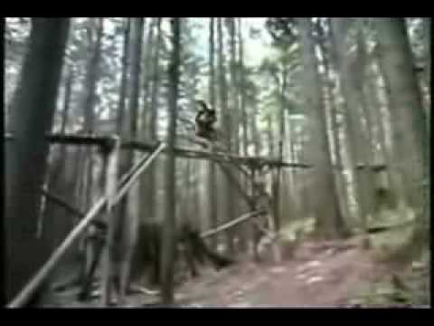 bmx,downhill,freeride,trial