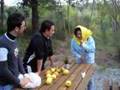 Dal fruttarolo - senise -
