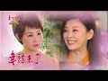 幸福來了 第242集 The Way to Happiness Ep242