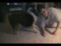 Shadow plays with Dar