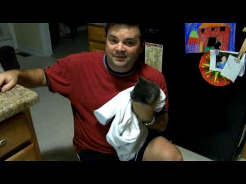 how to administer pills to cats