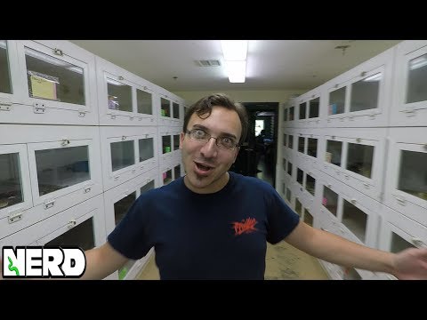 YouTube reptile video