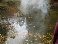 Huge Chunk of Sodium in Pond
