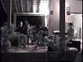TRIGO - Sinal da esta��o - semi-ac�stico