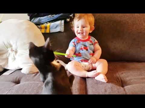 Baby And Cat Fun And Cute #3 - Funny Baby Video