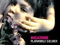 Micatone - Playmobile Soldier [nu-jazz]