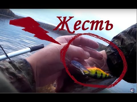 троллинг осень троллинг осень