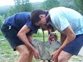 See Video