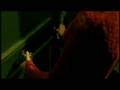 videos de Amelie