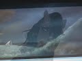 AnImAsH!!! (TLK 1 & 2, Spirit + Eragon)-Nara